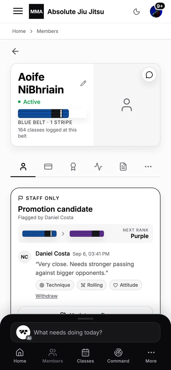 A Brazilian jiu jitsu student's profile on a phone: belt, attendance and membership
